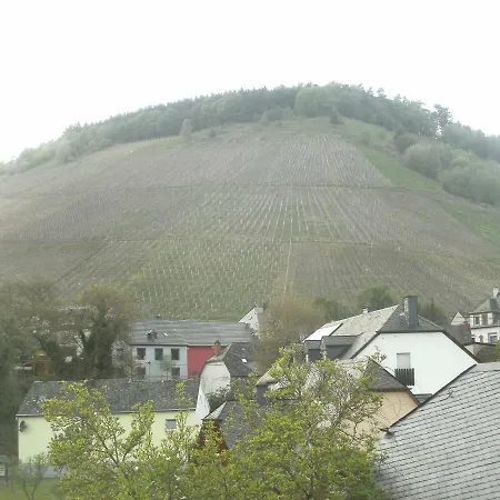 Ferienweingut Jakobs Appartamento *